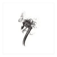 ORCHID (Print Only)