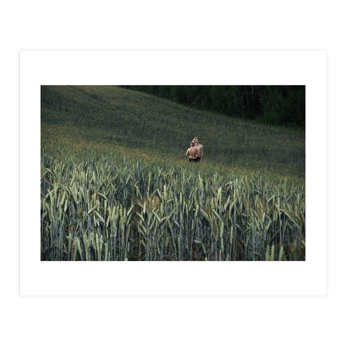 Logical Fallacy (Print Only)