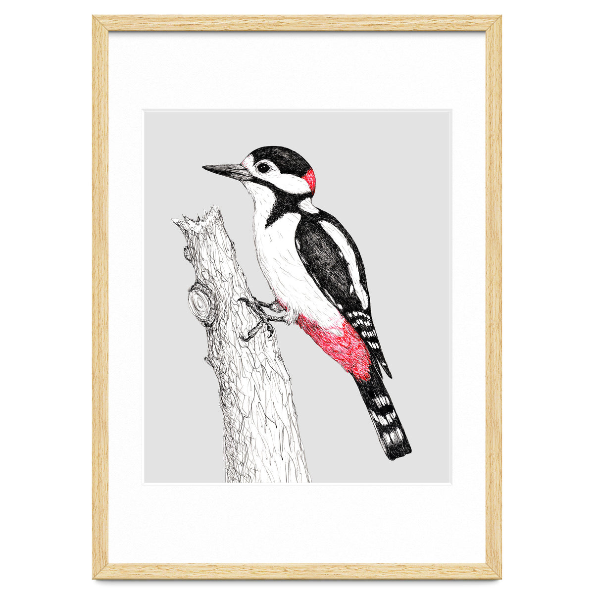 Great spotted woodpecker