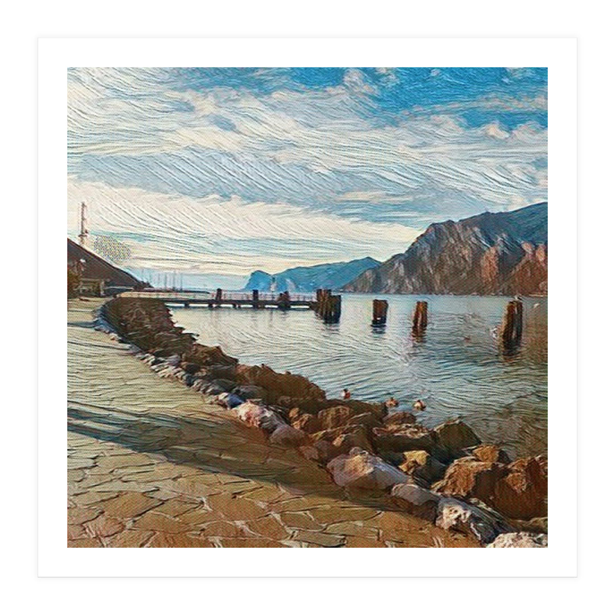 Ducks on Lake Garda, Italy. (Print Only)