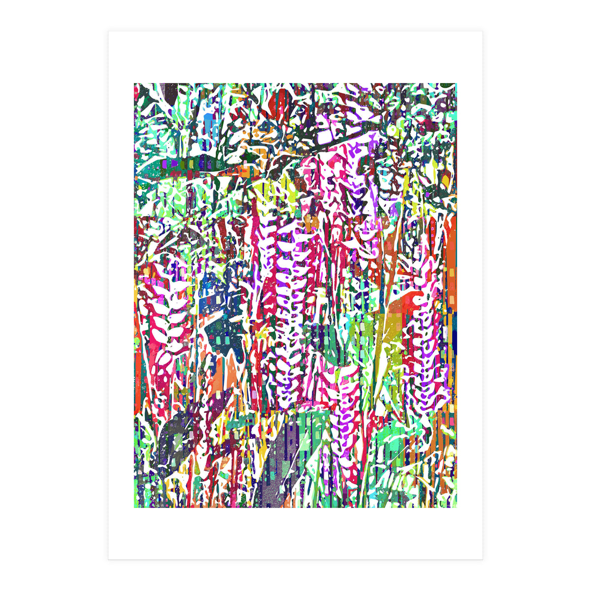 Jungle Mysteries, Colorful Bohemian Rustic Forest, Eclectic Nature Botanical Heliconia Tropical (Print Only)
