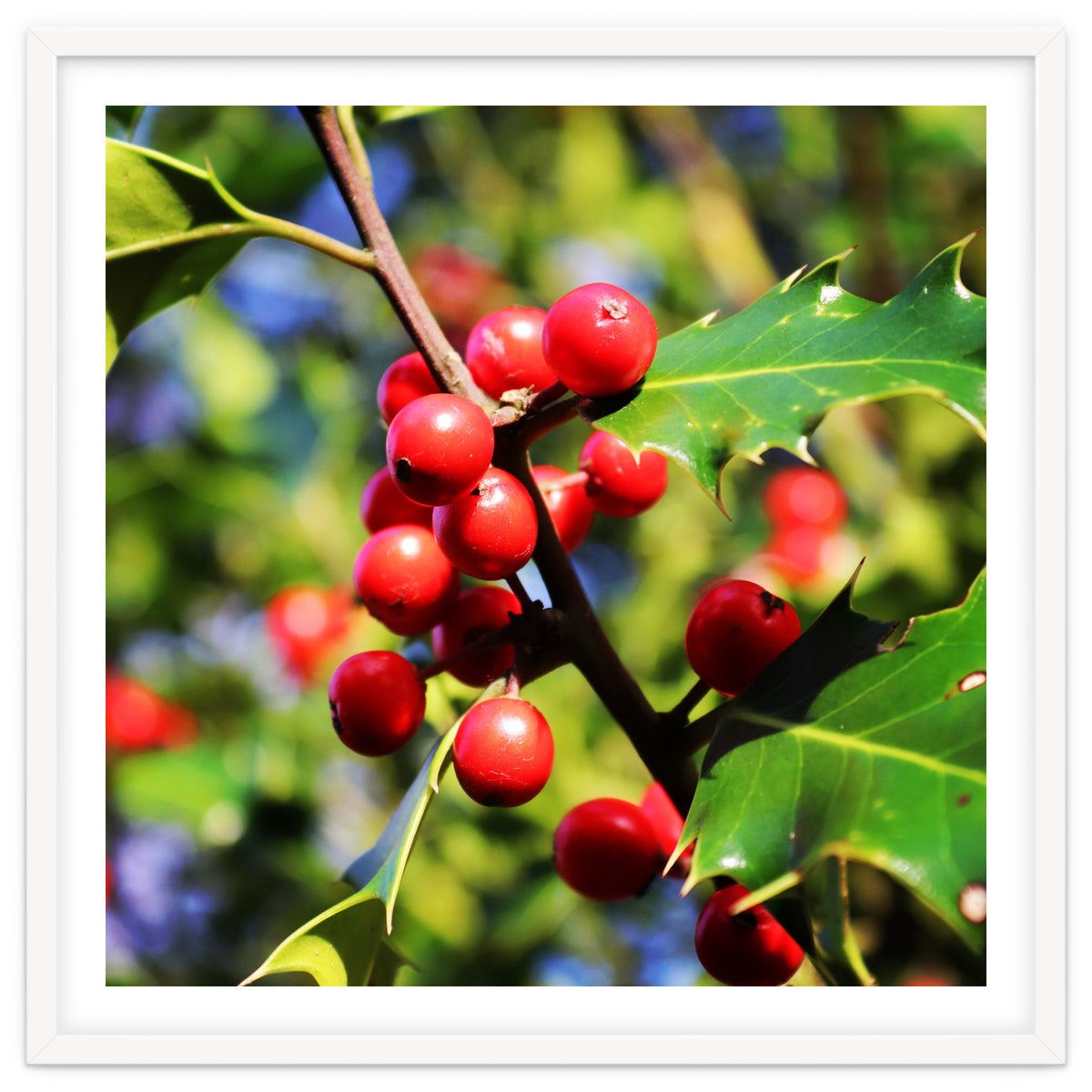 Fab454 Da 548 B 4252 8566 Cb9 Ccef07 Bda