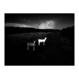 black and white (Print Only) thumbnail