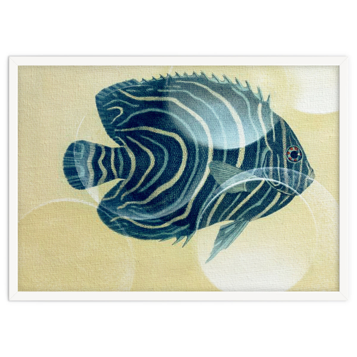 Fish Between Circles
