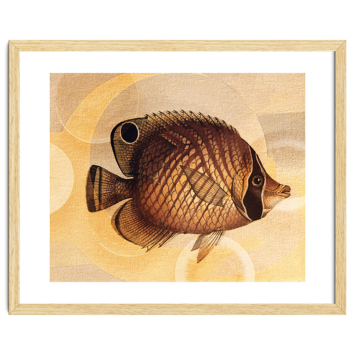 Fish Between Circles 3