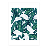 Tropical Winter (Print Only) thumbnail