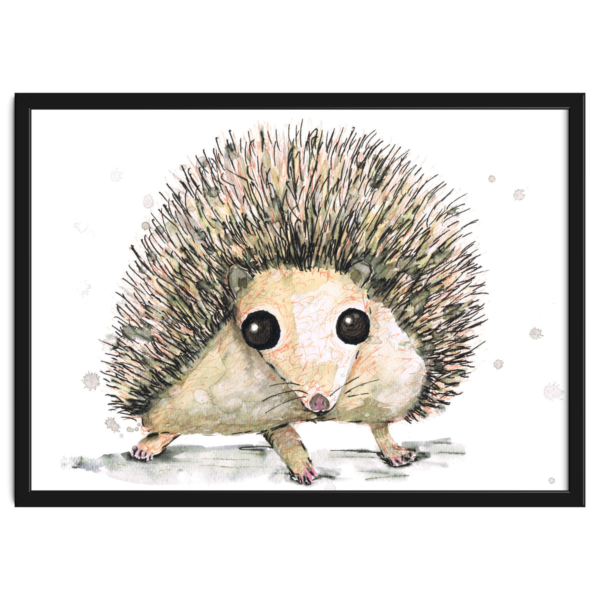 Hedgehog