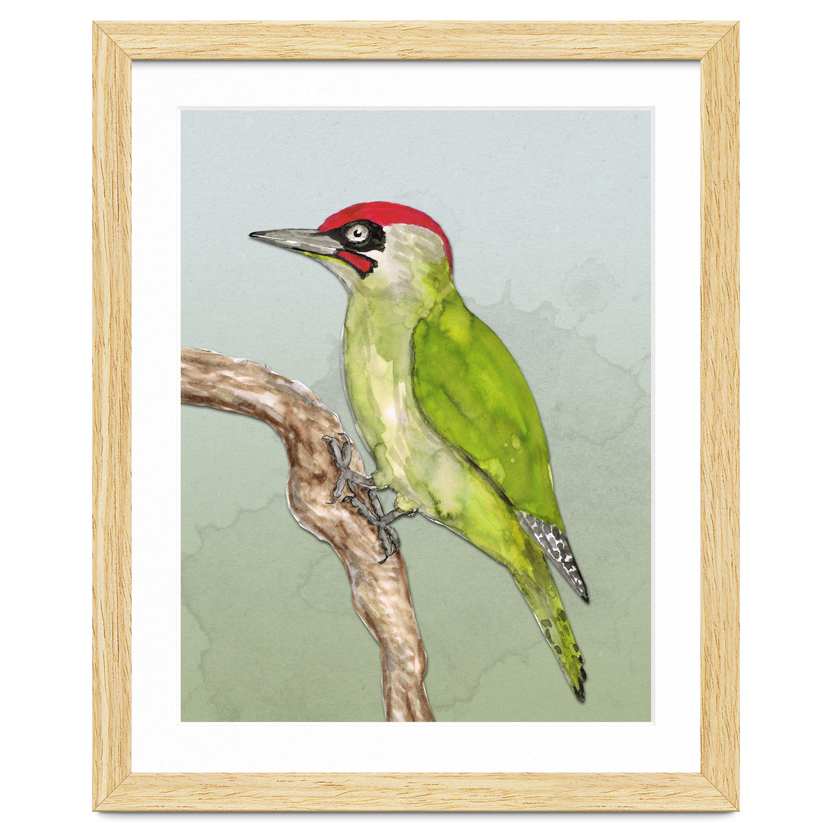Green woodpecker