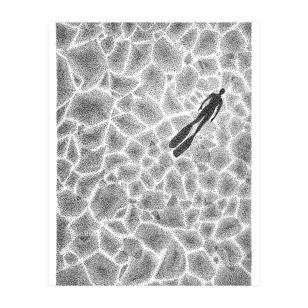 Beneath The Ice (Print Only)