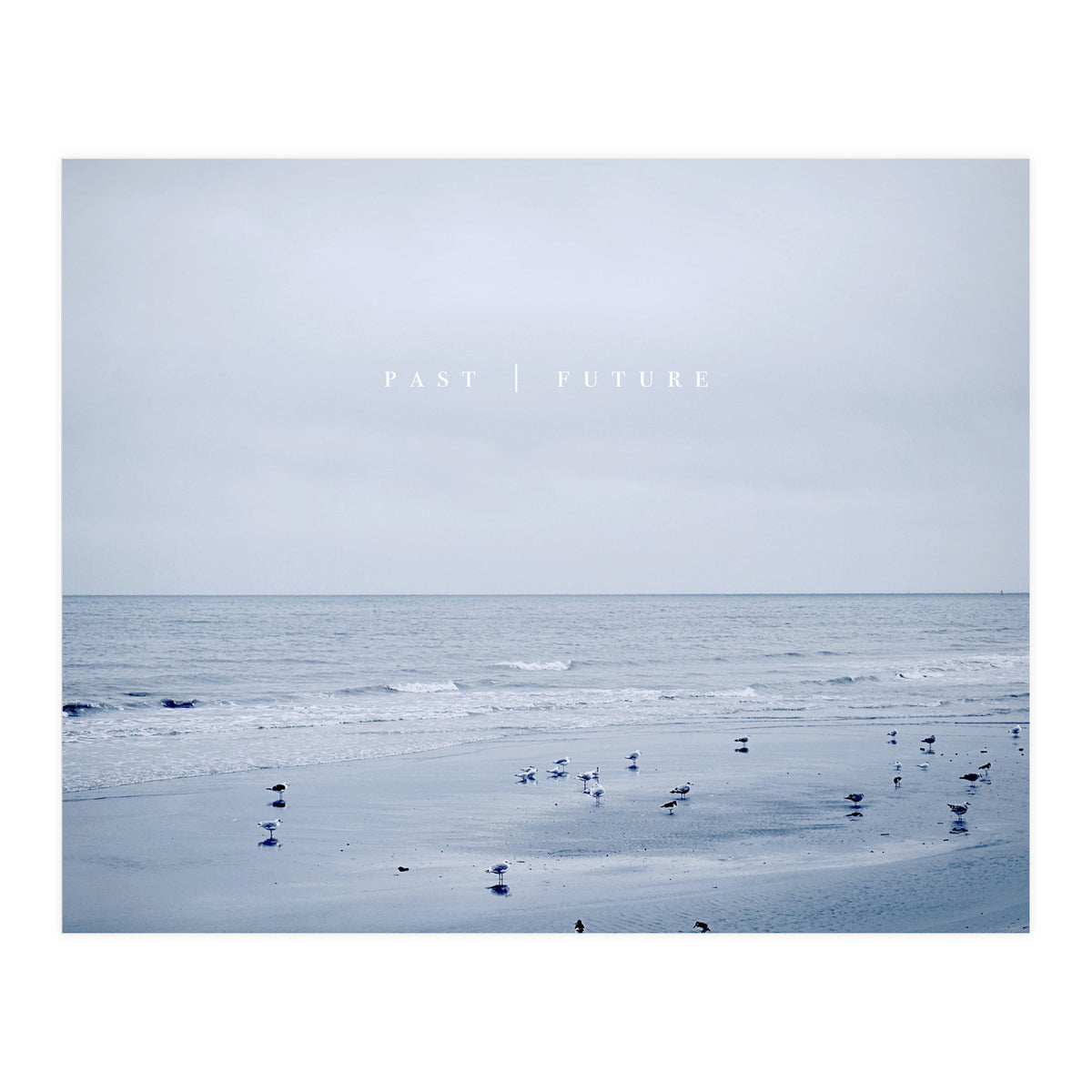 PAST | FUTURE  (Print Only)