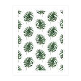 Monstera Leaves (Print Only) thumbnail