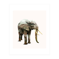 Elephant Transformation (Print Only)