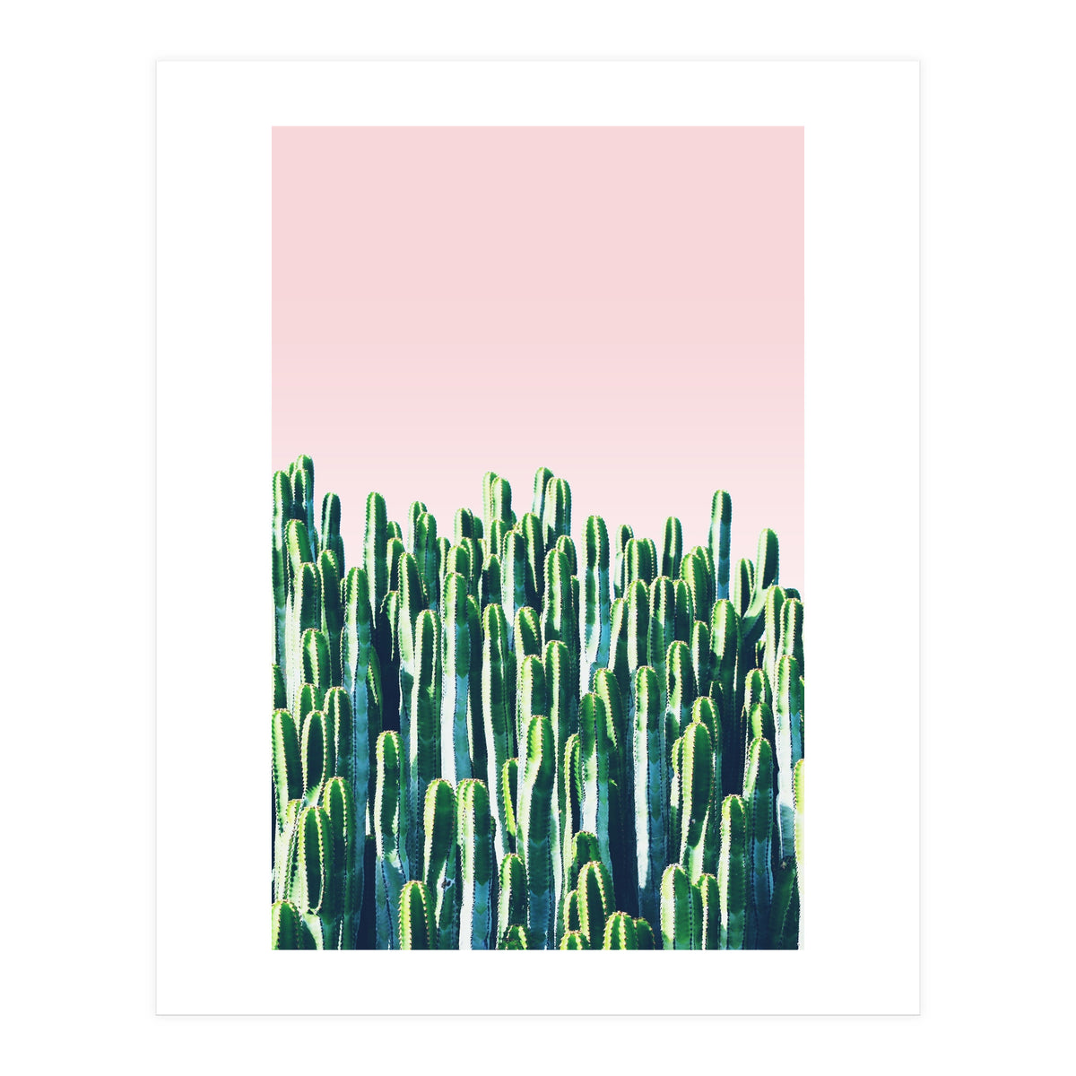 Cactus & Sunset I (Print Only)