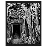 Ta Prohm Temple, Cambodia