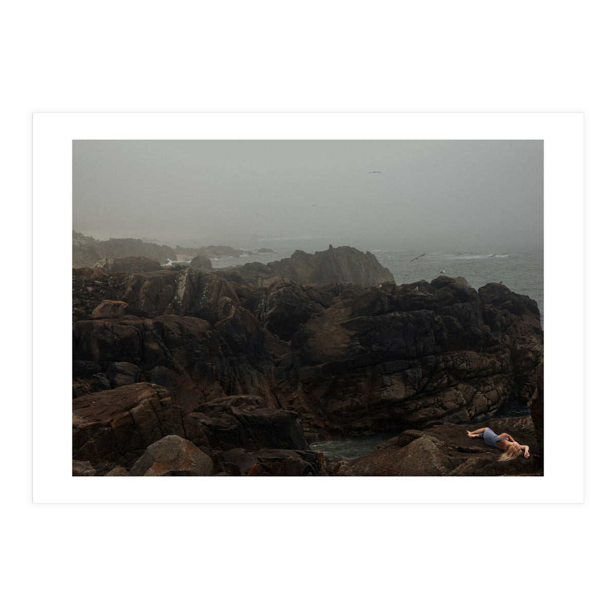 Seagull Bay (Print Only)