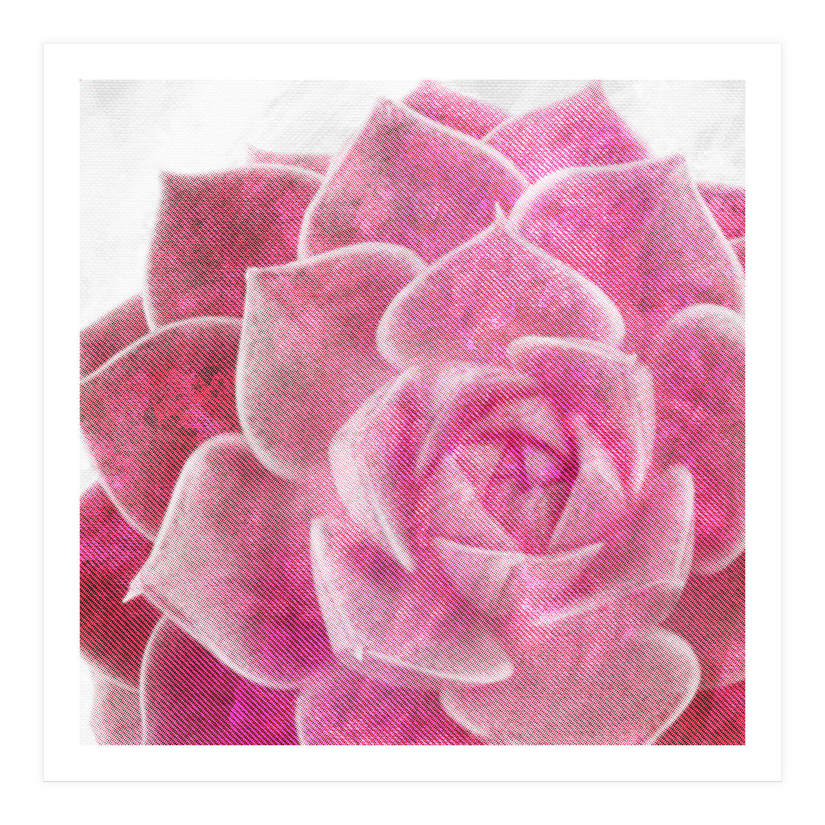 Rough Beauty 4 (Print Only)