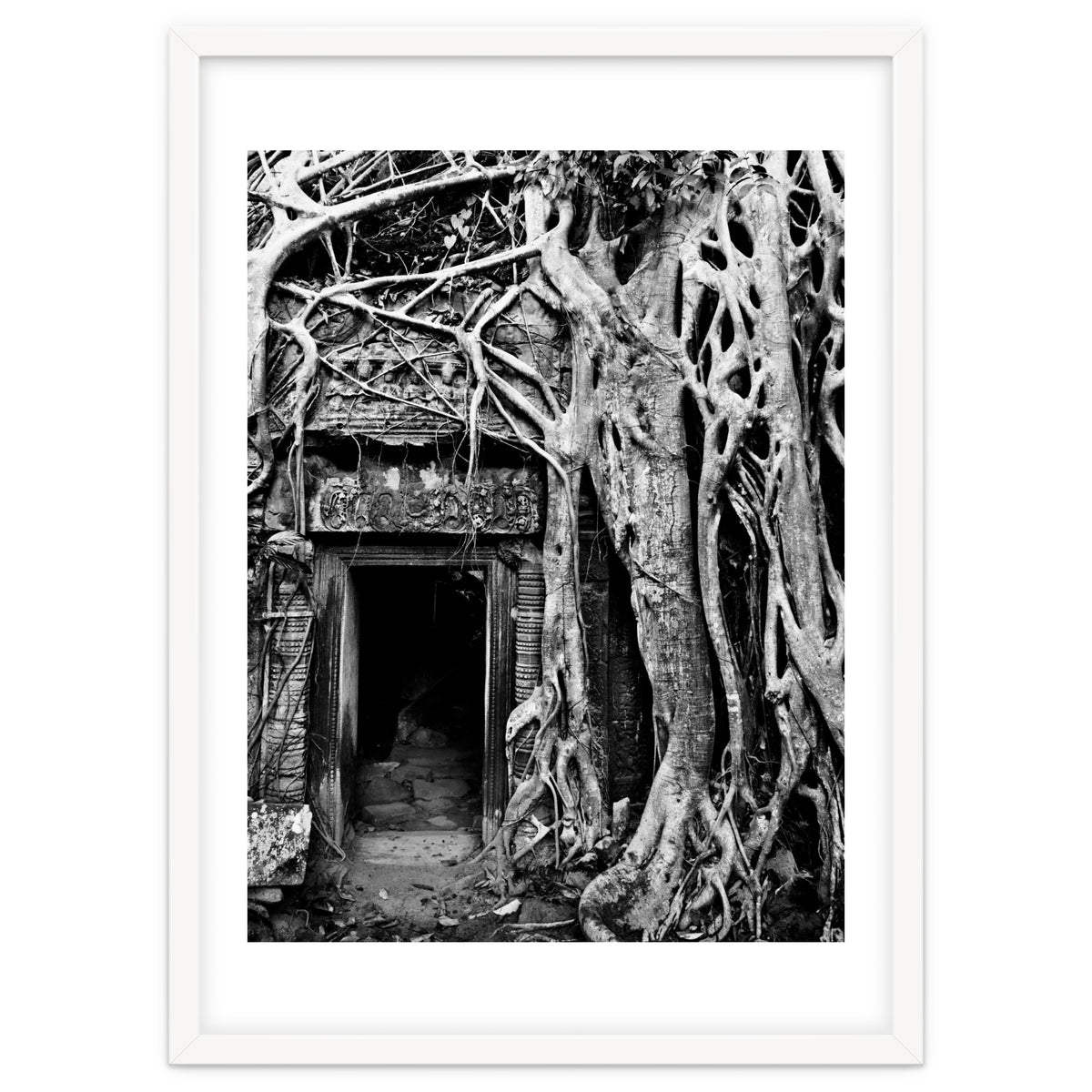 Ta Prohm Temple, Cambodia