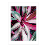 fiore red (Print Only) thumbnail