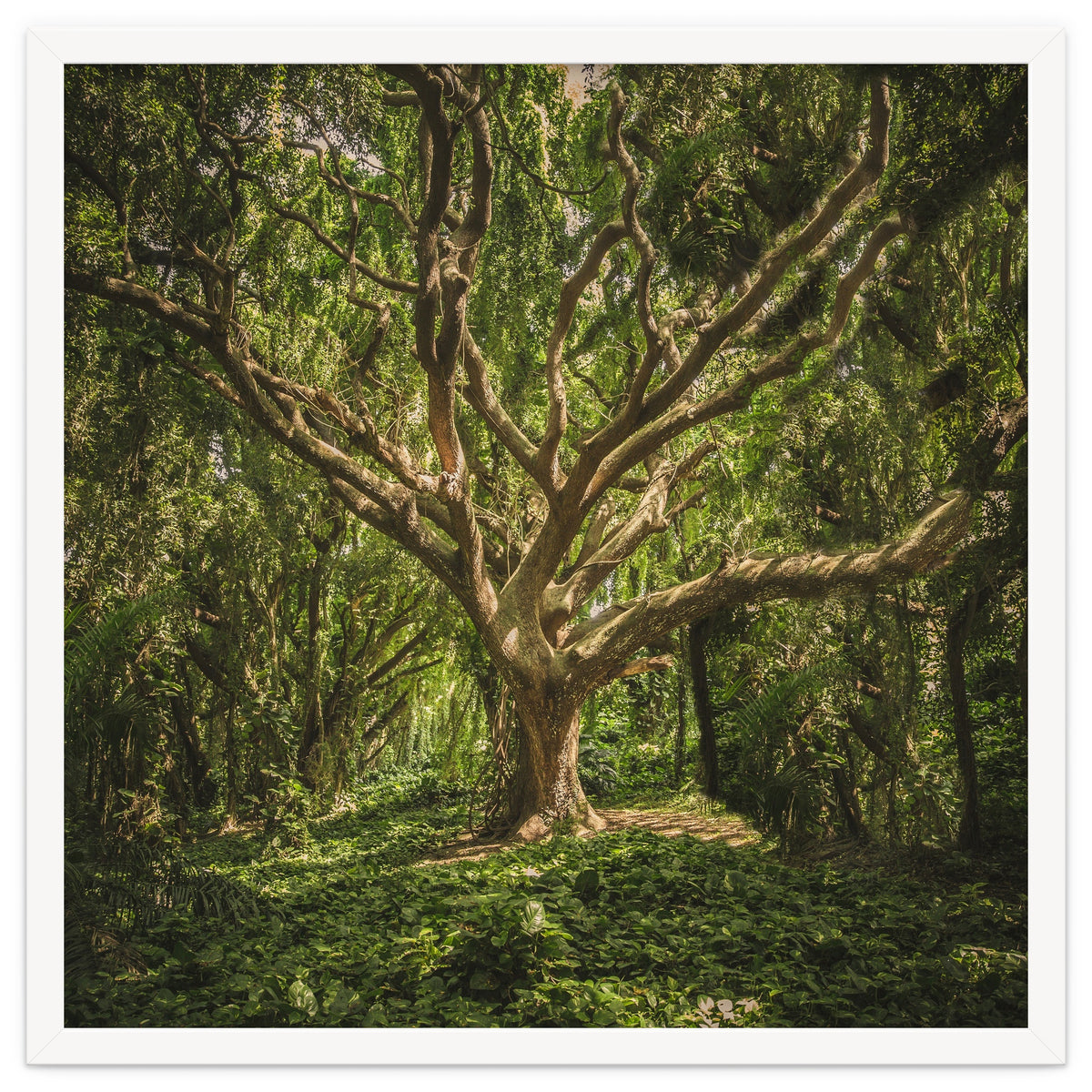 Spirits inside the wood