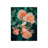 Seasons Blossom (Print Only) thumbnail
