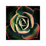 DARKSIDE OF SUCCULENTS XV (Print Only) thumbnail