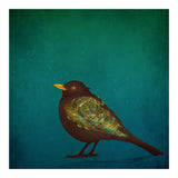 Camouflage: The Blackbird (Print Only) thumbnail