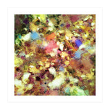Discarded Blooms (Print Only) thumbnail