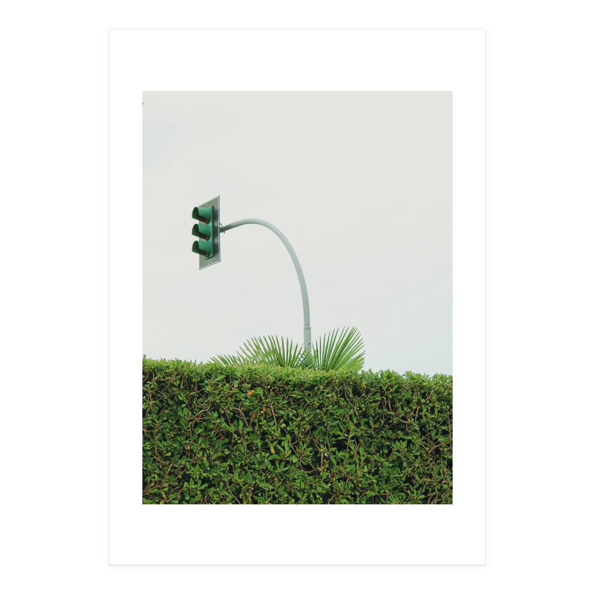 Urban Plant (Print Only)