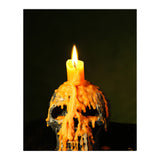 Skull  (Print Only) thumbnail