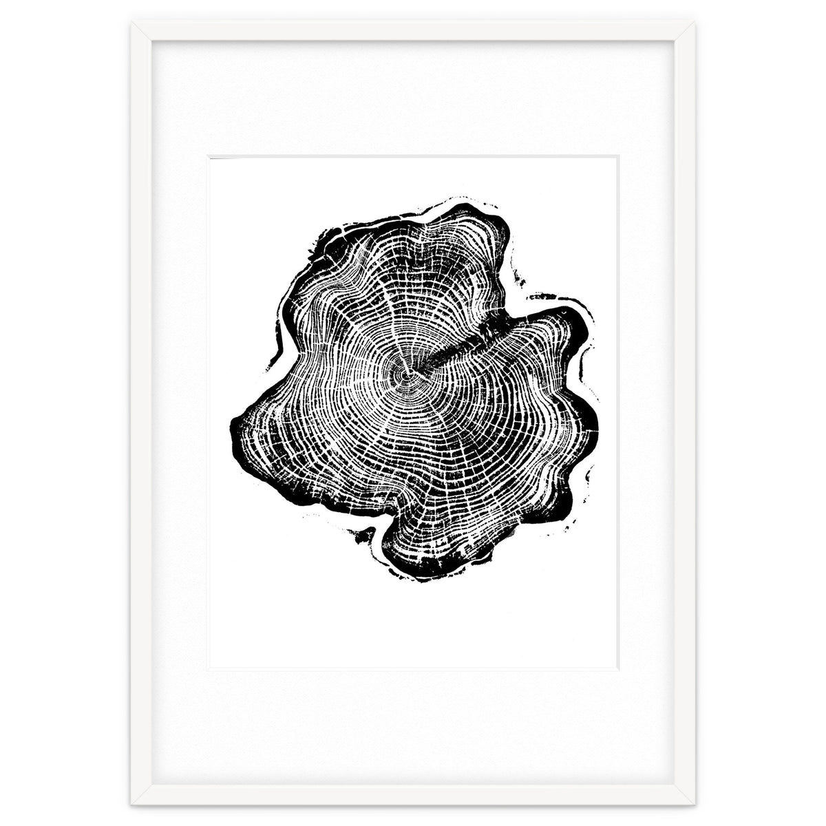 Alaskan Cypress, Tree Ring Art Print, Woodblock