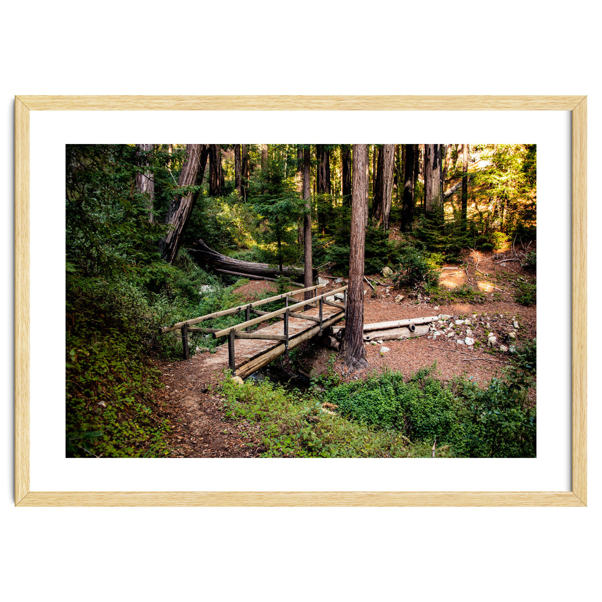 Ewoldsen Loop Bridge