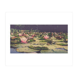 Waterlilies (Print Only) thumbnail