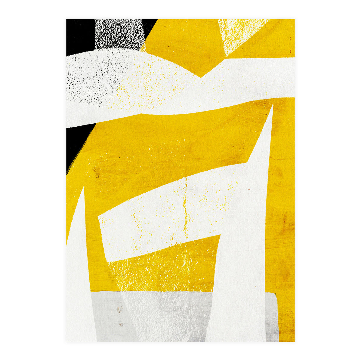 Coiote 3 (Print Only)