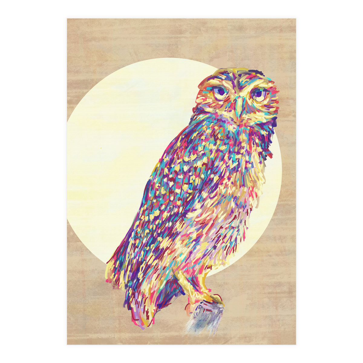 Owl (Print Only)