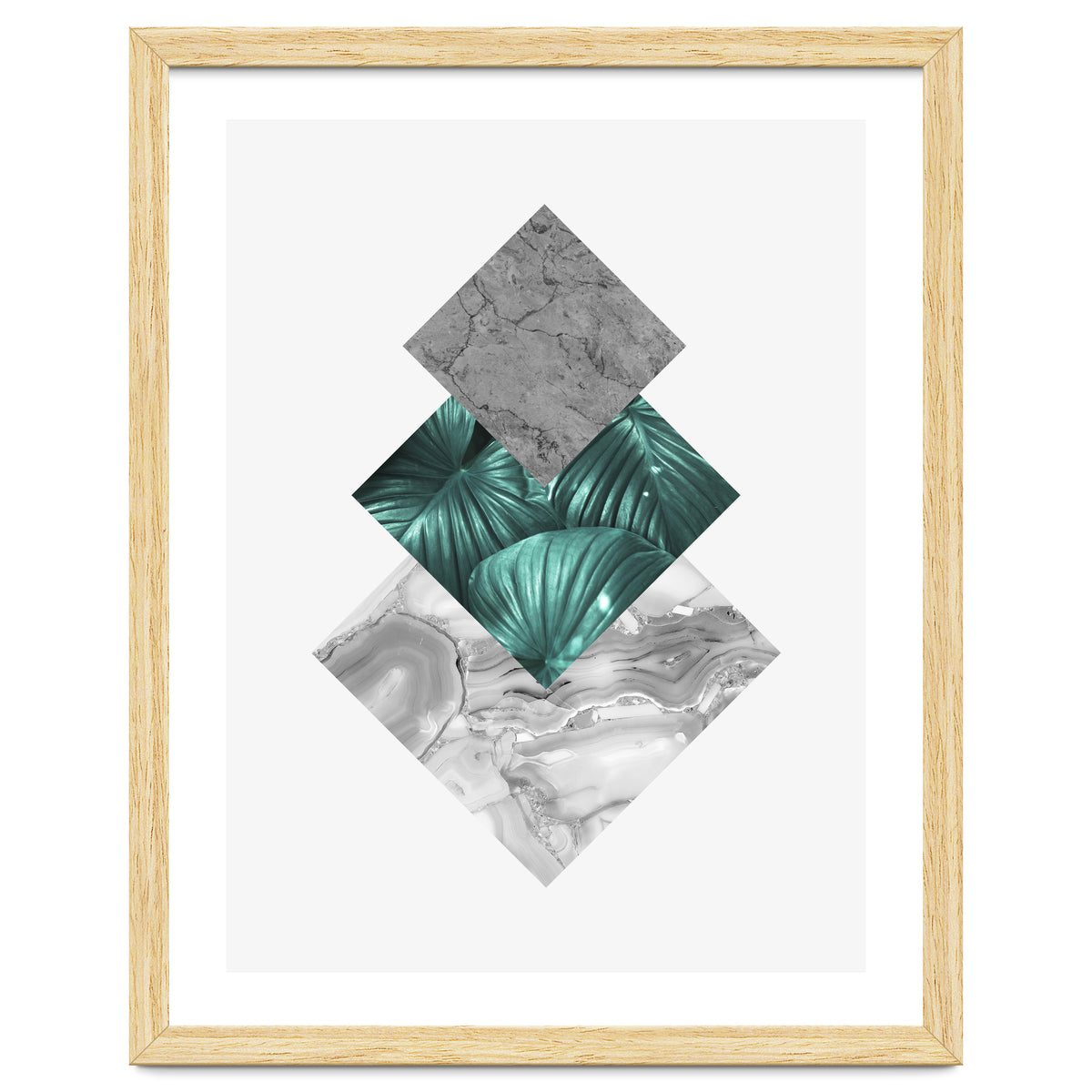 Botanical and geometric V