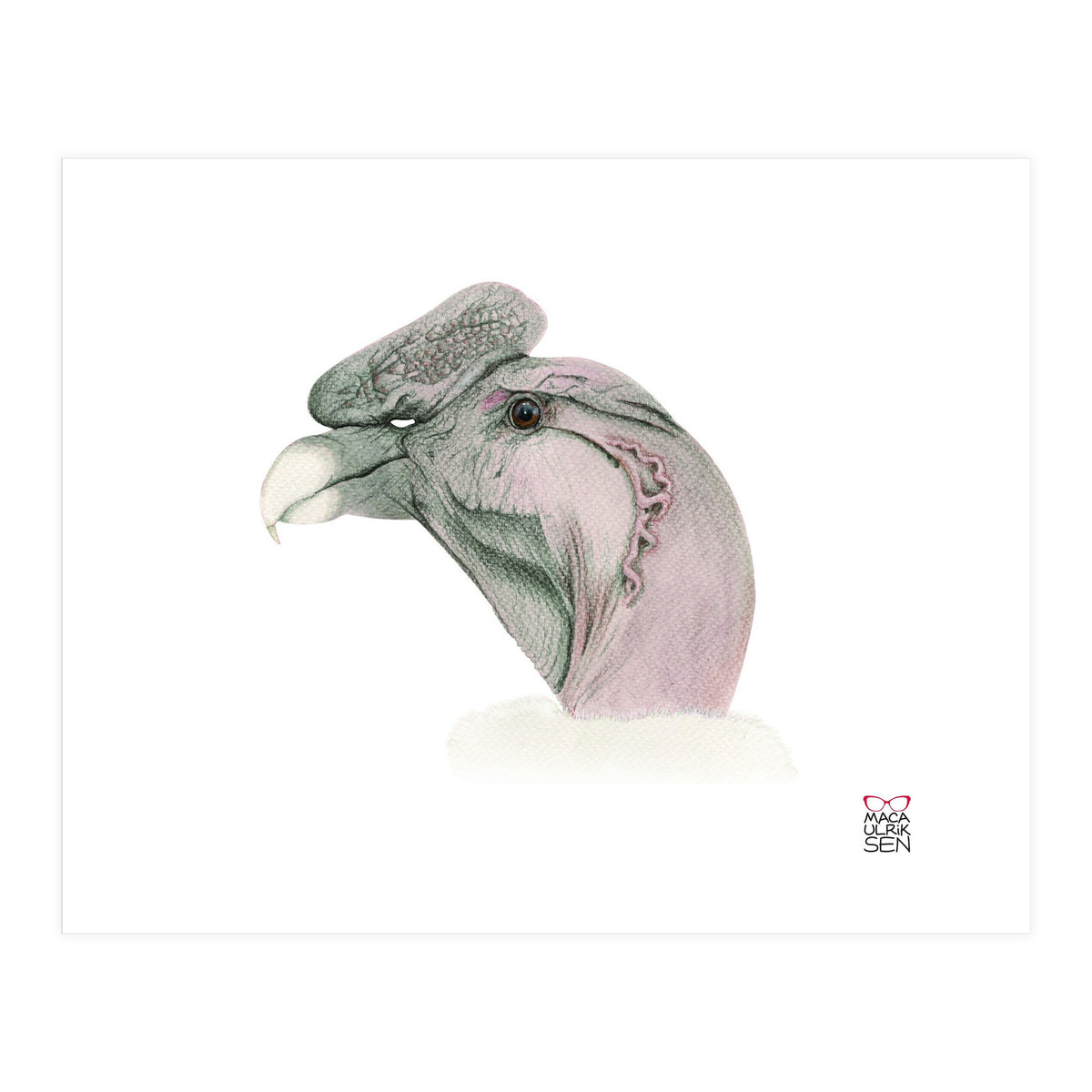 Andean condor (Print Only)