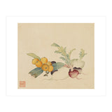 Wang Chengpi~flowers And Vegetables, Vegetables, Fruits, Loquat, White Radish, Carrot, Radish (Print Only) thumbnail