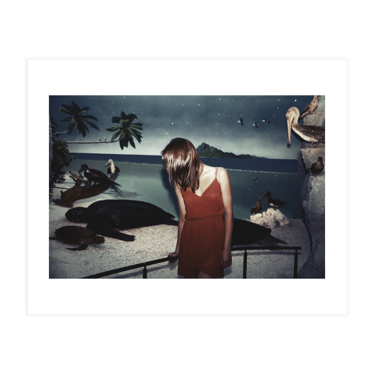 Galapagos (Print Only)