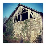 14 Fb156 B 6832 4 Ef7 9846 7817 Eea32976 (Print Only) thumbnail