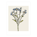 Bunch V (Print Only) thumbnail