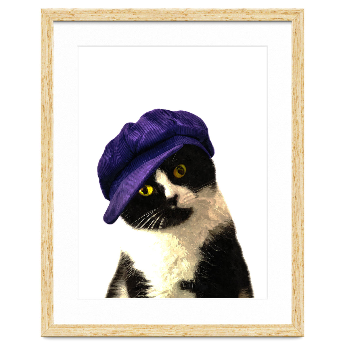 Cat Blue Hat