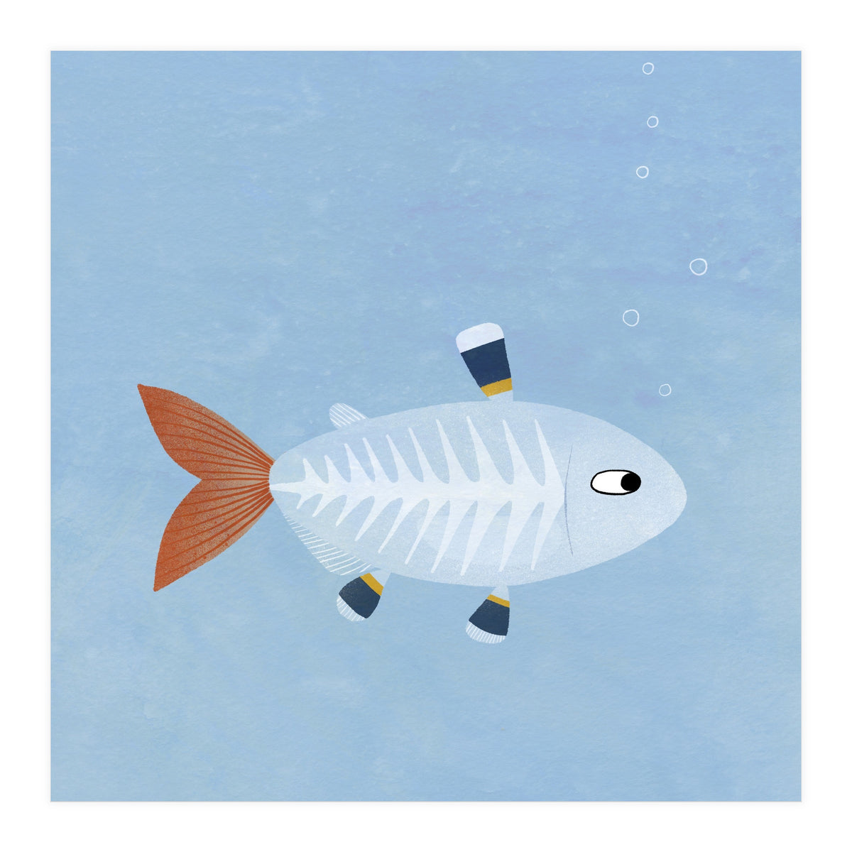 X Ray Tetra (Print Only)
