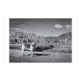 Taos (Print Only) thumbnail