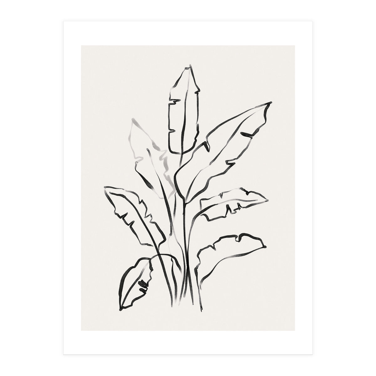 Banana Leafs Drawing (Print Only)