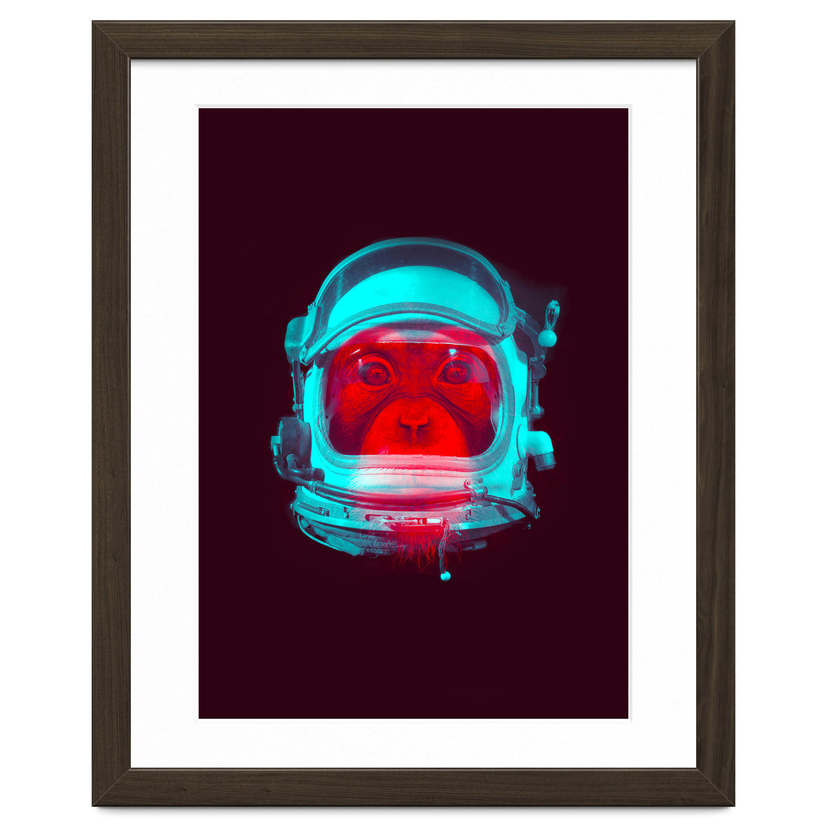 Astronaut