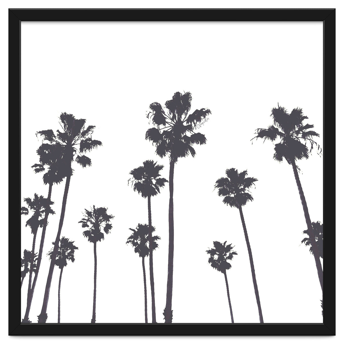 Palms & Sunset-Minimal B&W