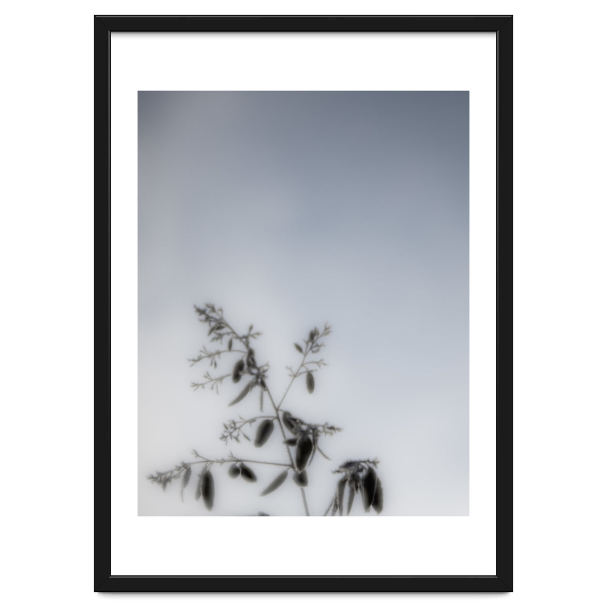 Forgotten Memories of Summer #17