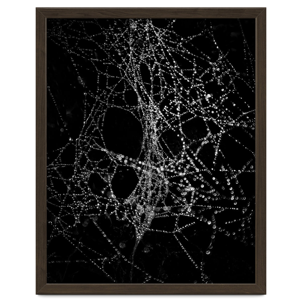 Spiderweb No 4