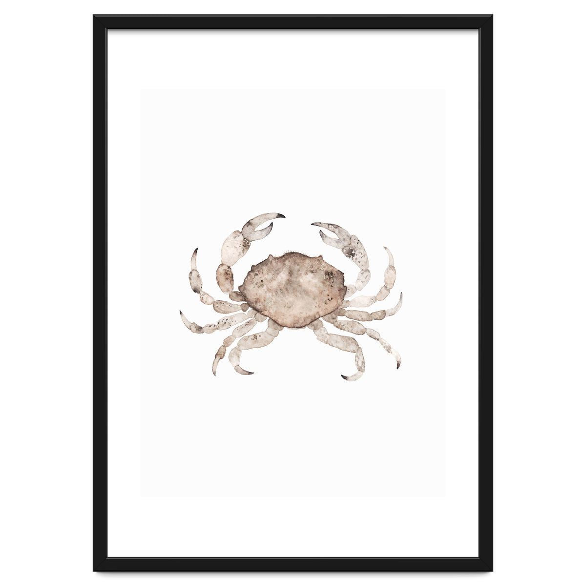 Crab