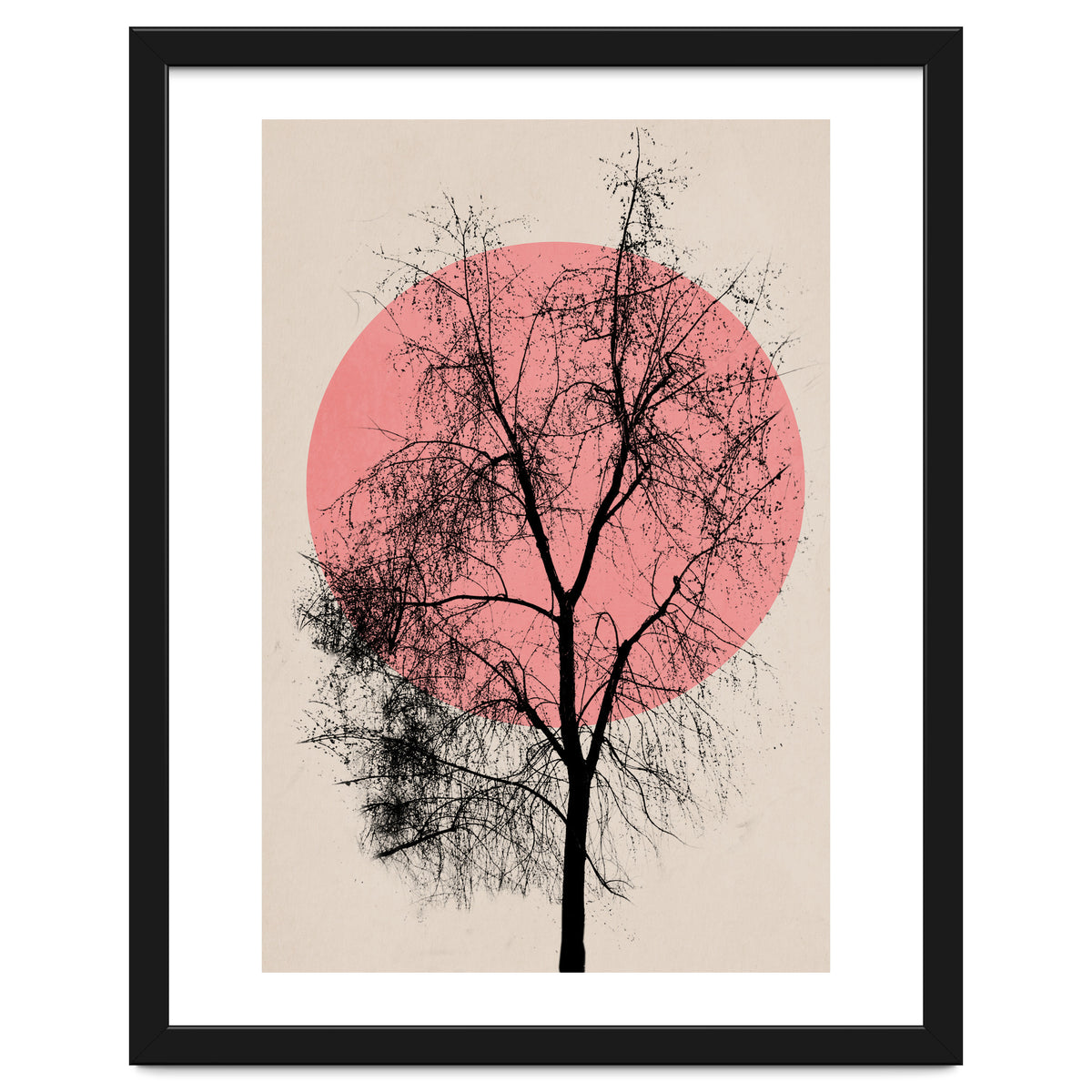 Memories And Moments